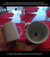 coffee mug, troll, prank, insect, print