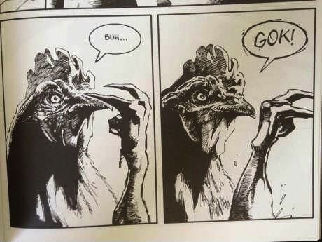rooster, comic, wtf