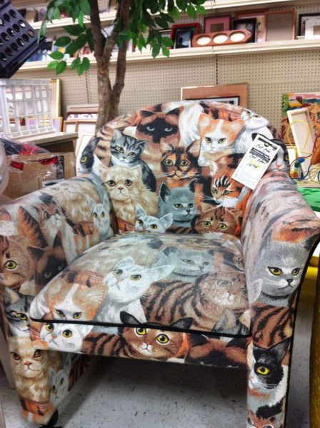 padded cat pattern chair, wtf