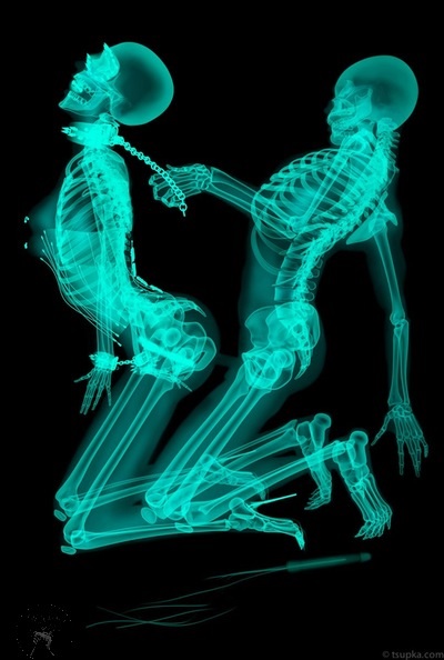 skeleton, sex, x-ray, cool, win