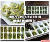 freeze and preserve fresh herbs in olive oil, life hack, food tips