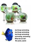 aquarium, win, swimming, nemo