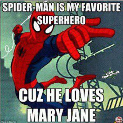 spider man, mary jane, meme
