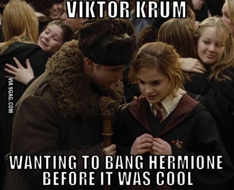 meme, viktor krum, hermione, harry potter