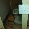 sign, passed out, bathroom floor
