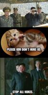 kim jong un, north korea, kitten, cat, nuke, cry