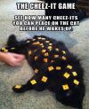 the cheez-it game, see how many cheek-its you can place on your cats before he wakes up