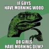 if guys have morning wood, do girls have morning dew?, philosoraptor, meme