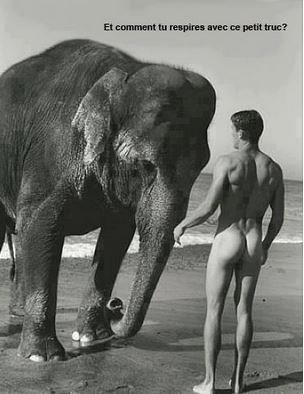 elephant, naked man, trunk