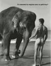 elephant, naked man, trunk