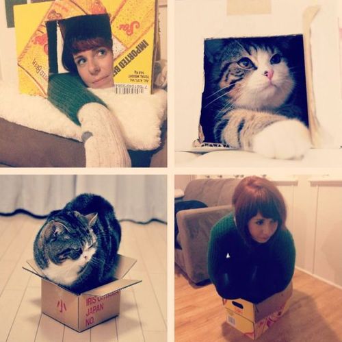 cat, girl, box, copy