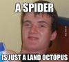 a spider is just a land octopus, stoner steve, meme