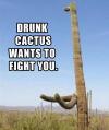 cactus, meme, fight, drunk
