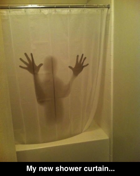 shower curtain, win, shadow, lol