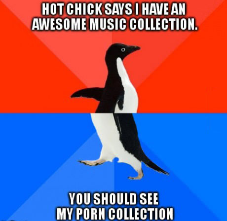 meme, socially awkward penguin, collection, porn, music