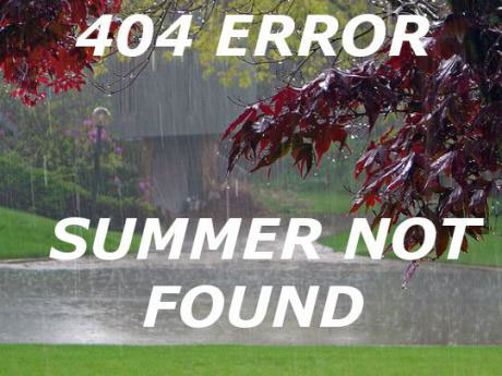 meme, 404 error, summer not found