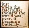 caterpillar, butterfly, world over, life, inspiration