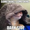 something something dark side, cat with towel over head totallylookslike emperor palpatine, meme, star wars