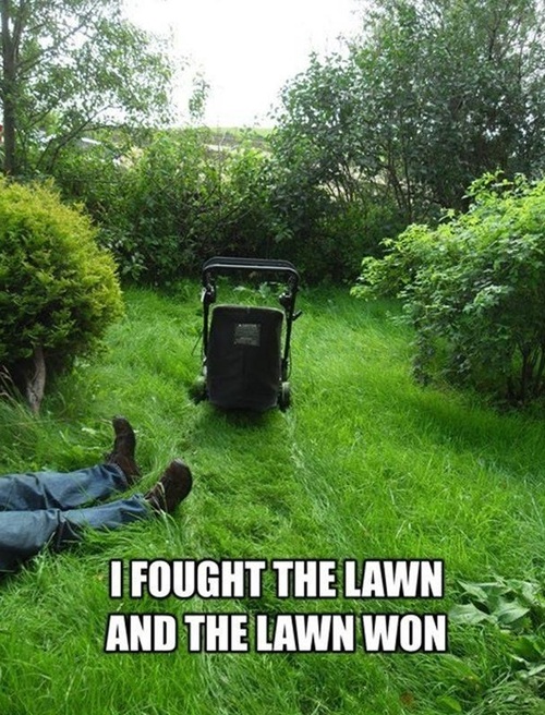 I fought the lawn and the lawn won, wordplay