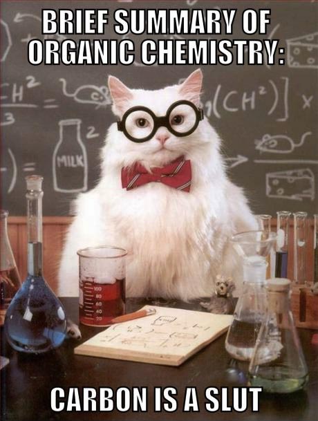 brief summary of organic chemistry, carbon is a slut, science cat meme