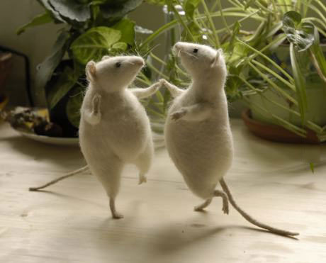 mice, dance, cute