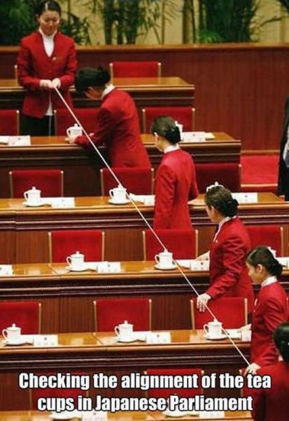 japanese parliament, tea cups, alignment, dyk