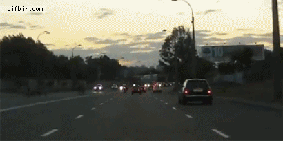 gif, dog, highway, car, accident