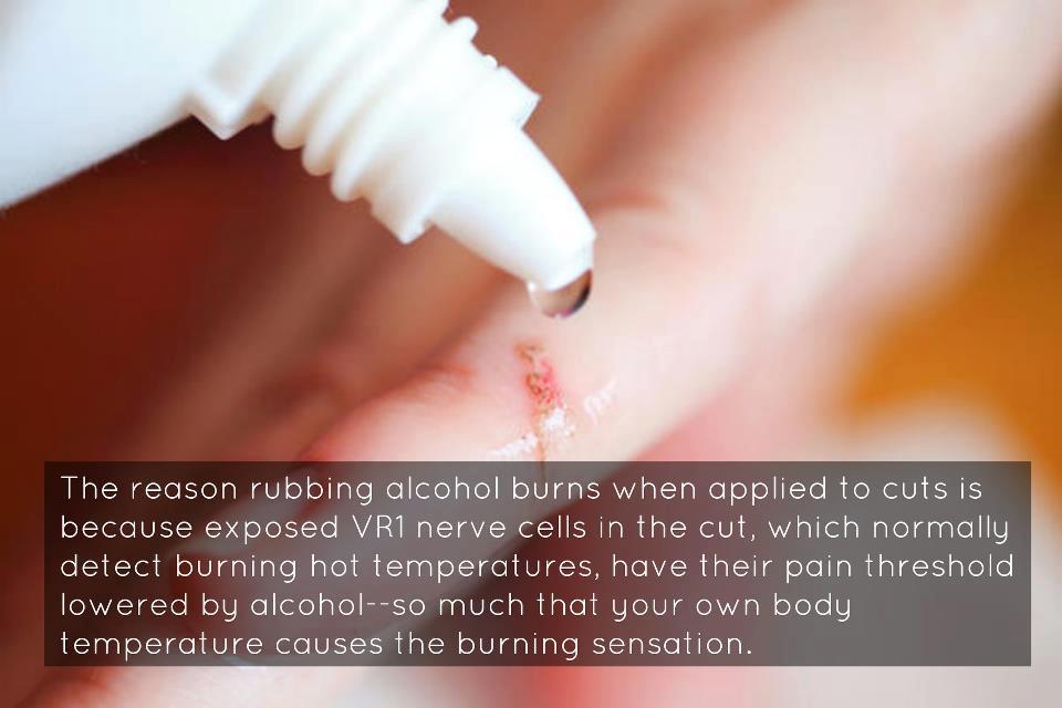 the reason rubbing alcohol burns when appplied to cuts is because exposed vr1 nerve cells in the cut have their pain threshold lowered by alcohol, your own body temperate causes the burning sensation
