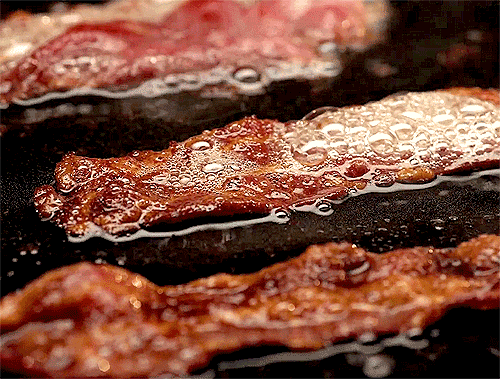 gif, bacon, frying