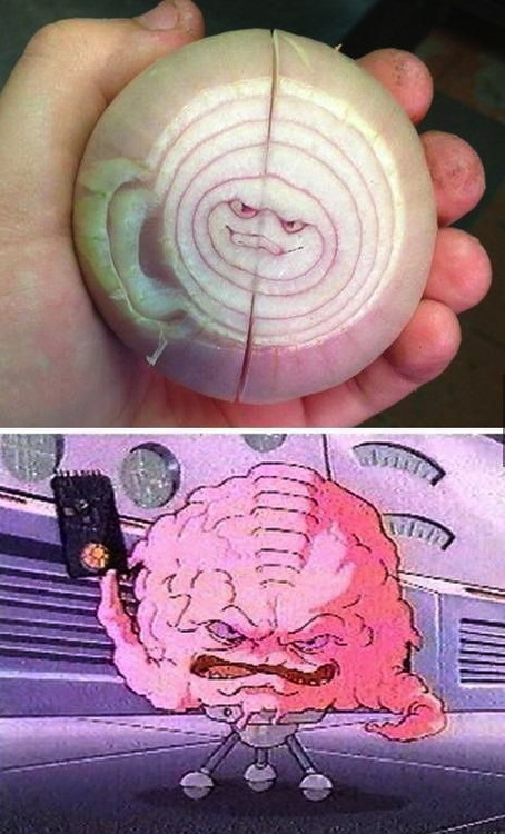onion, kang, tmnt, face, brain