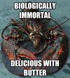 biologically immortal, delicious with butter, meme, scumbag genes