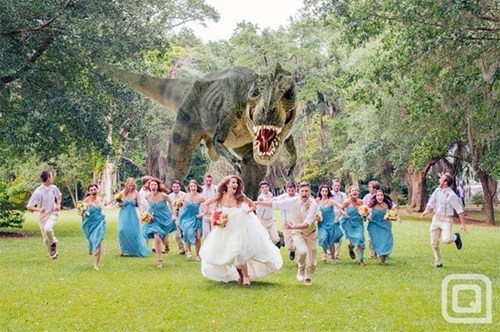 wedding, marriage, trex, dinosaur