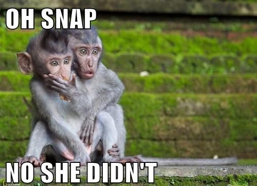oh snap no she didn't, monkeys, meme