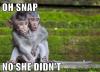 oh snap no she didn't, monkeys, meme