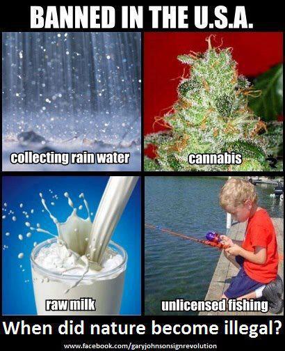 banned, illegal, usa, marijuana, rain, milk, fishing