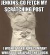 jenkins go fetch my scratching post, i wish it to keep my company whilst I tear apart the couch, meme