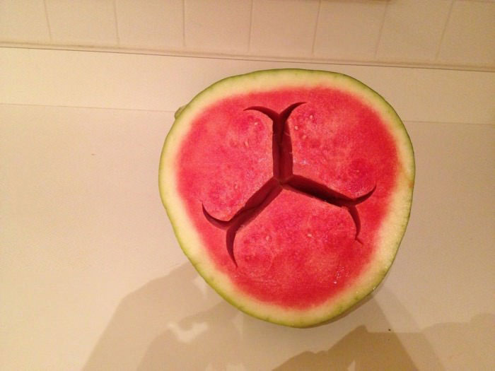 biohazard symbol in a watermelon, coincidence