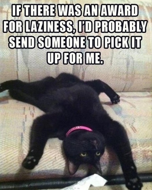 if there was an award for laziness, I'd probably send someone to pick it up for me, meme