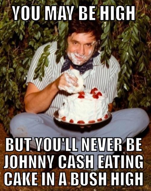 you may be high, but you'll never be johnny cash eating cake in a bush high, meme