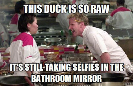 master chef, gordon ramsey, meme, joke, insult, selfies, mirror, duck