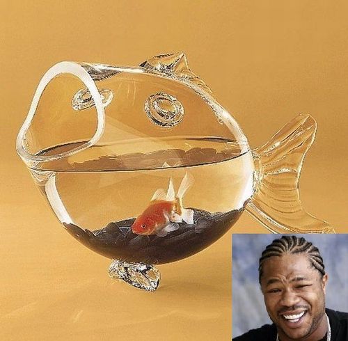 fish bowl, gold