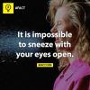 it is impossible to sneeze with your eyes open, 8fact, dyk