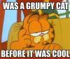 was a grumpy cat before it was cool, garfield, meme