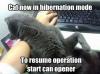 cat now in hibernation mode, to resume operation start can opener, meme
