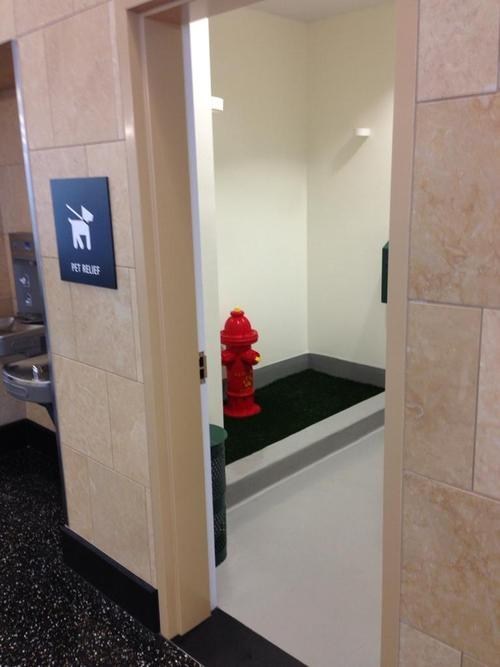 bathroom for dogs, airport