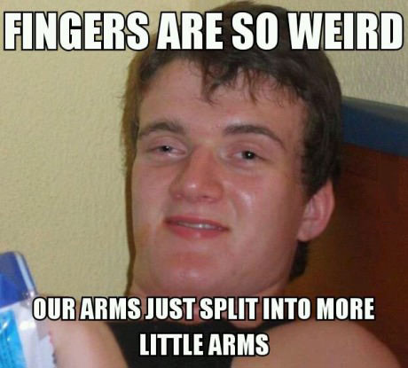 fingers are so weird, our arms just split into more little arms, stoner steve, meme