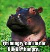 I'm hungry, but I'm not hungry hungry, hippo, meme