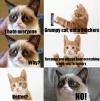 grumpy cat, meme, snickers