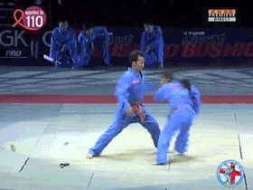judo, gif, move, cool, leg vice spin throw