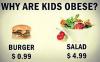 burger, salad, obesity, why, health
